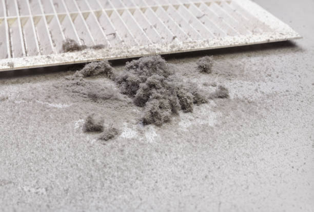 Best Local Air Duct Cleaning Services  in Terville, WA