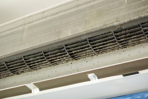 Best Home Air Vent Cleaning  in Terville, WA